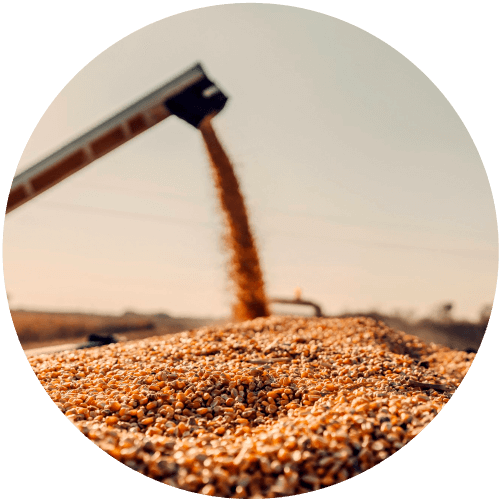 Maquinaria de Cereal